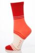 Ladies 1 Pair Falke New Block Stripe Socks 25% OFF