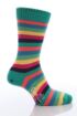 Mens 1 Pair Corgi 100% Cotton Fine Stripe Socks In Jewel