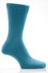 Lyons Blue