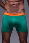 Mens 1 Pair SockShop Dare to Wear Bamboo Hipster Trunks In Emerald Green
