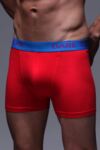 Mens 1 Pair SockShop Dare to Wear Bamboo Hipster Trunks In Pillar Box Red