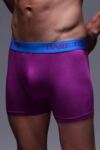 Mens 1 Pair SockShop Dare to Wear Bamboo Hipster Trunks In Elderberry