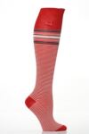 Ladies 2 Pair Pringle Lesley Funky Striped Knee High Socks in 5 Colours