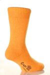 Ladies 1 Pair Corgi 100% Cashmere Cushioned Leisure Socks