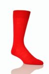 Mens 1 Pair Pantherella Rib Cotton Lisle Socks In 11 Colours