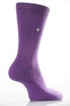 Ladies 1 Pair SockShop Colour Burst Cotton Sock In 16 Colours