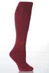 Ladies 1 Pair SockShop Long Heat Holder Thermal Socks with a 2.3 Tog Rating In 7 Colours