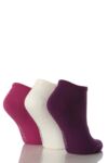 Ladies 3 Pair Calvin Klein Signature Mesh Trainer Liners In 7 Colours