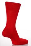 Mens 1 Pair Falke Tiago Classic Fil d'Ecosse 98% Mercerised Cotton Socks In 7 Colours