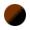 Black / Chocolate