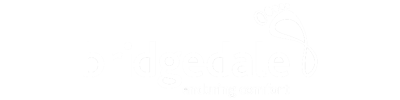 Bridgedale Socks Guide at SockShop