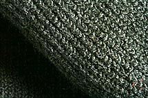 Zoom Image