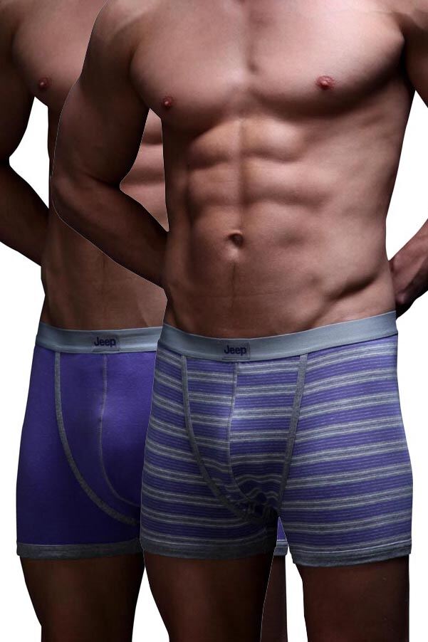 Mens 2 Pair Jeep Plum & Grey Stripe & Plain Fitted Trunk Plum -  Grey M