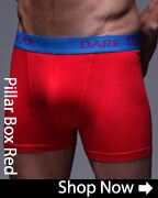CLICK HERE - SockShop Dare to Wear Bamboo Hipster Trunks