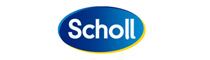 Scholl Summer