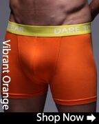 CLICK HERE - SockShop Dare to Wear Bamboo Hipster Trunks