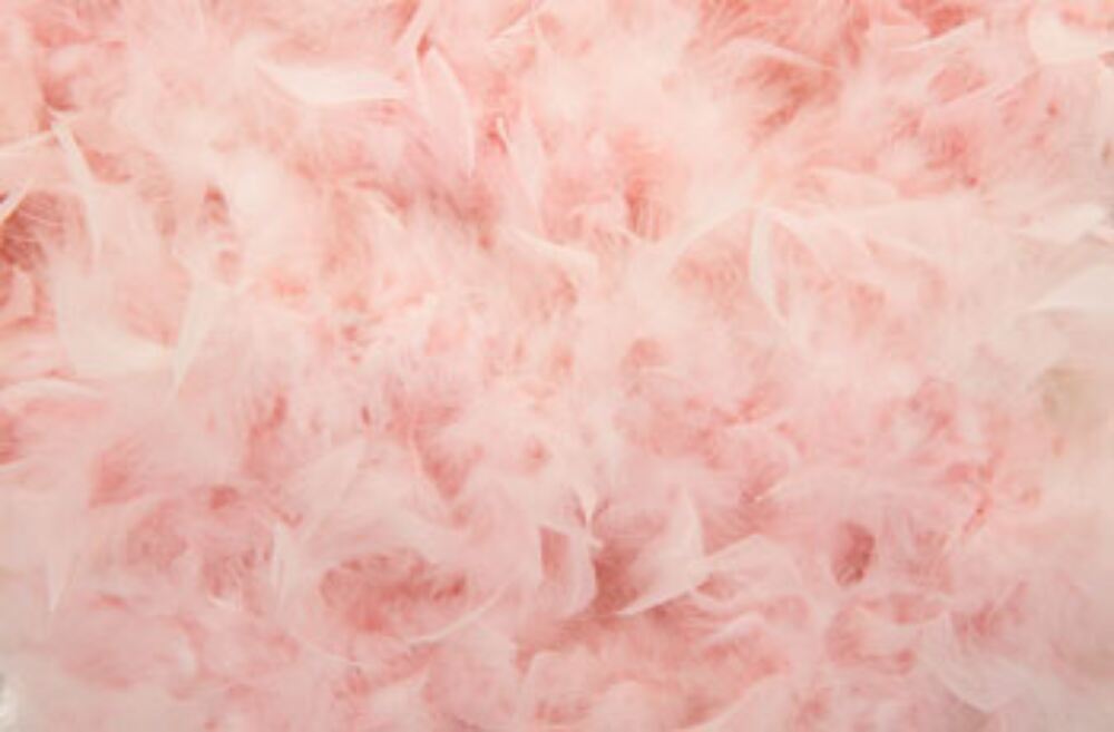 Feathers are in for spring – here’s how to wear them…