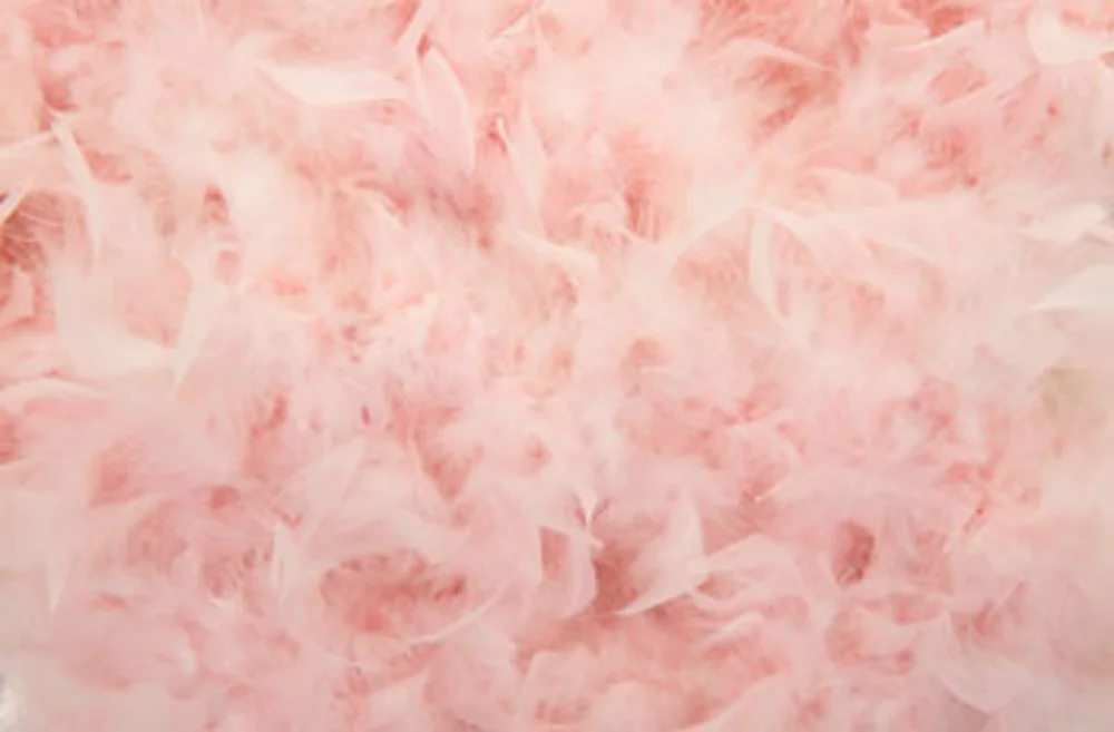 Feathers are in for spring – here’s how to wear them…
