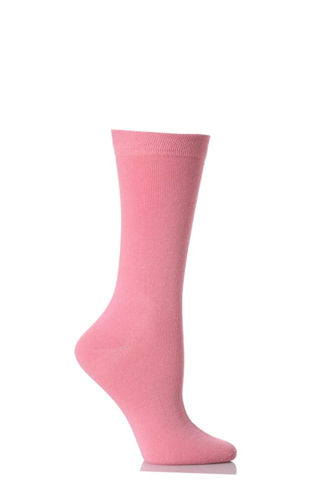 SockShop Colours Outstanding Quality and Value Plain Sunset Pink Cotton Socks