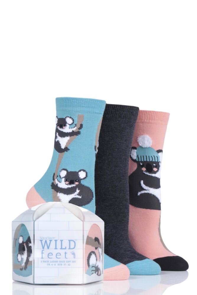 SockShop Wild Feet Gift Boxed Koala Cotton Socks