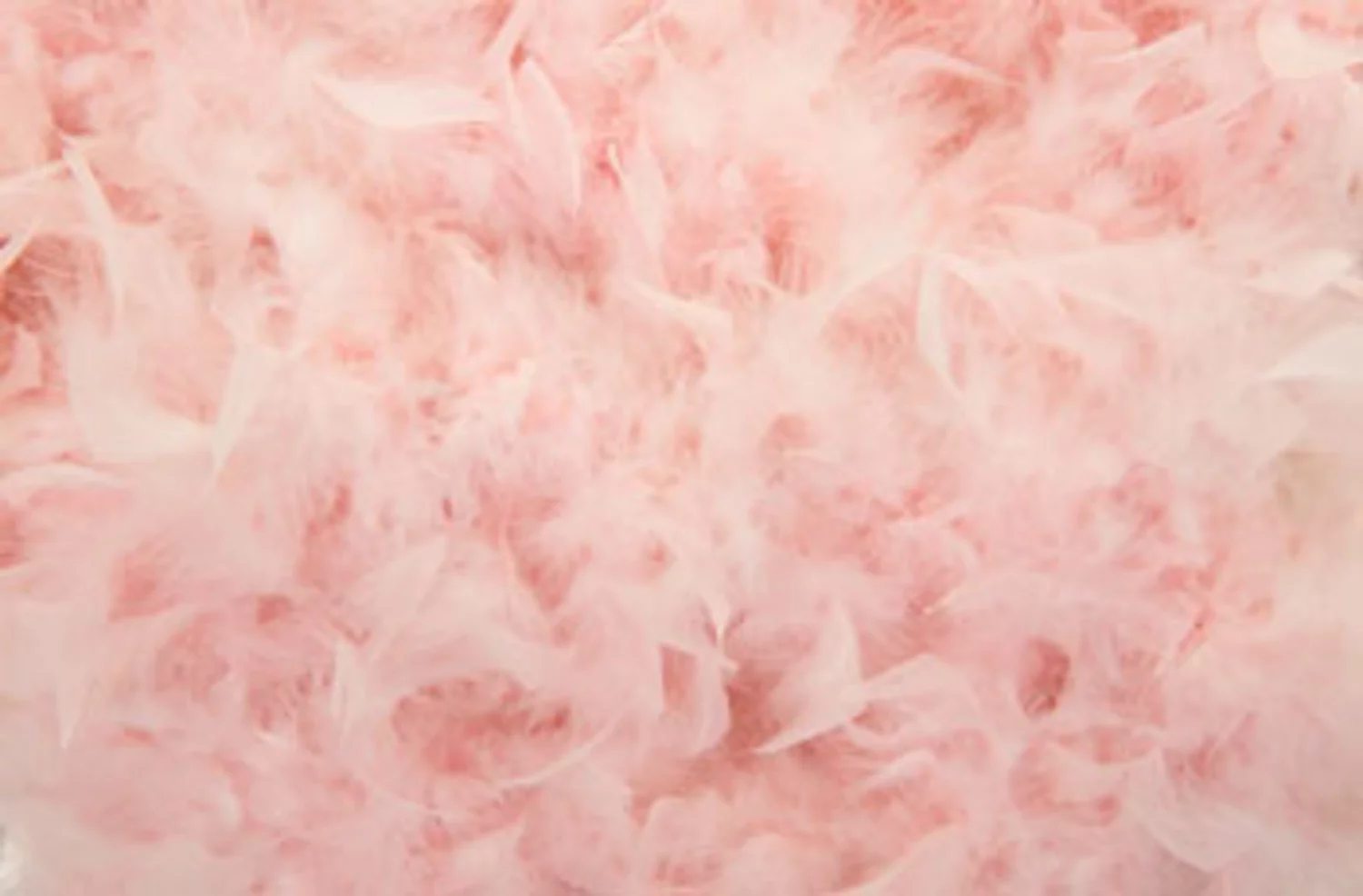 Feathers are in for spring – here’s how to wear them…