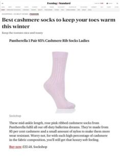 Evening Standard Online December 2022