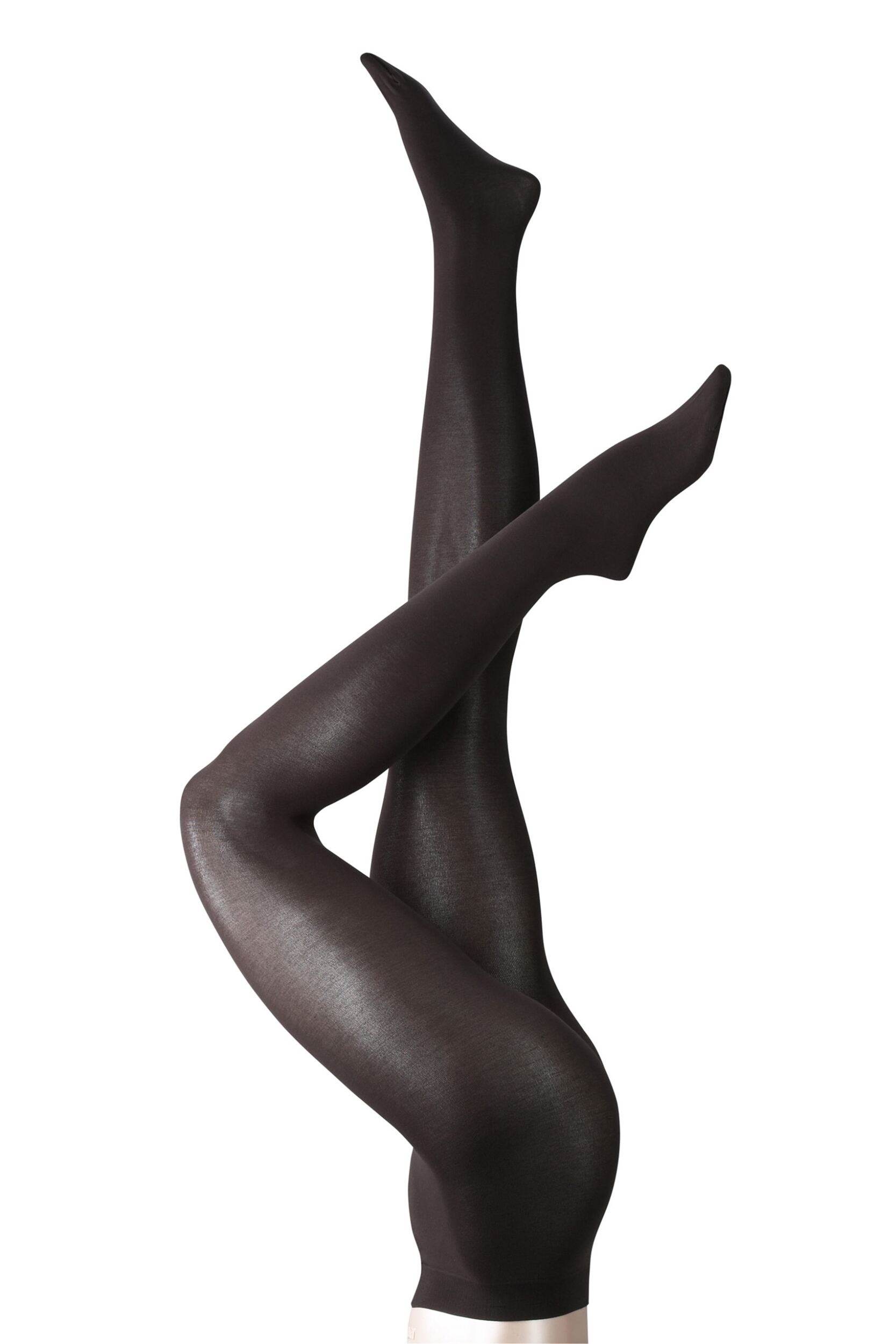 1 Pair Cigar Cotton Touch Tights Ladies Large - Falke