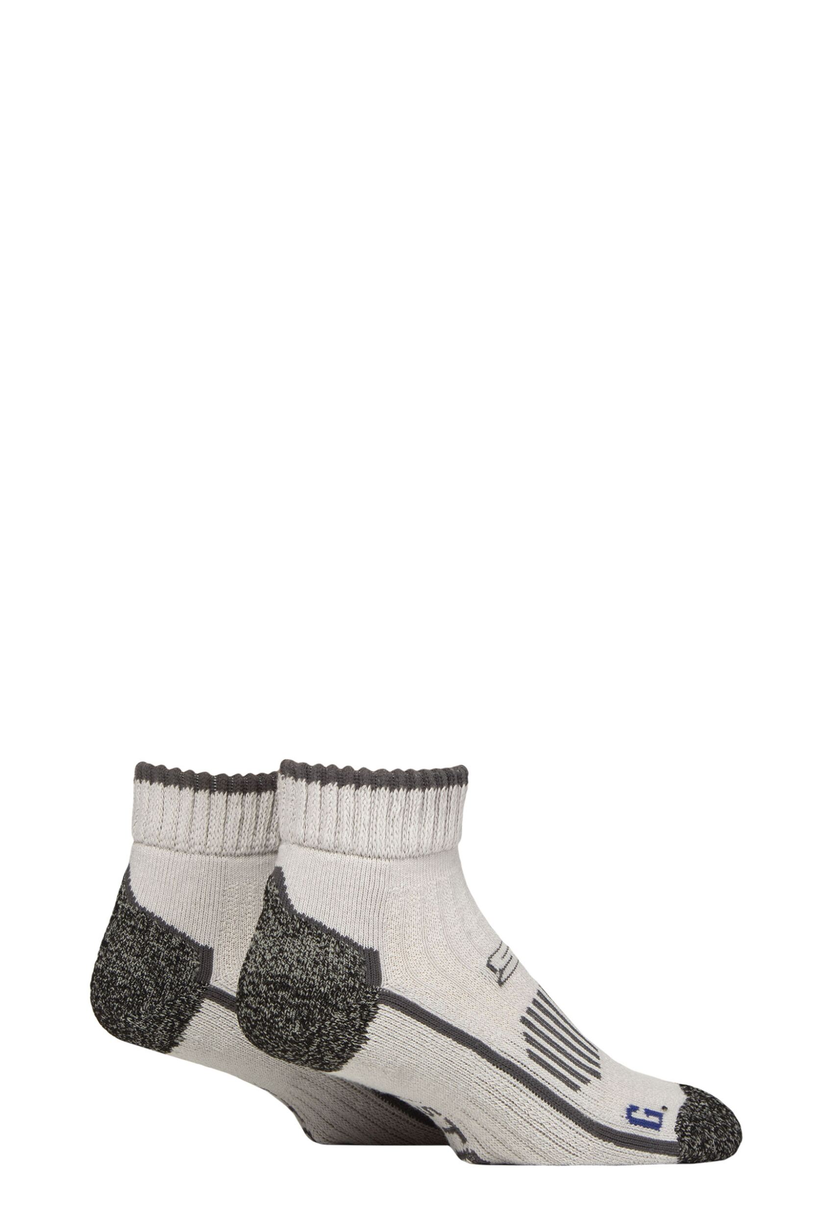 Image of Mens 2 Pair Storm Bloc with BlueGuard Ankle High Walking Socks Stone / Charcoal 6-8.5