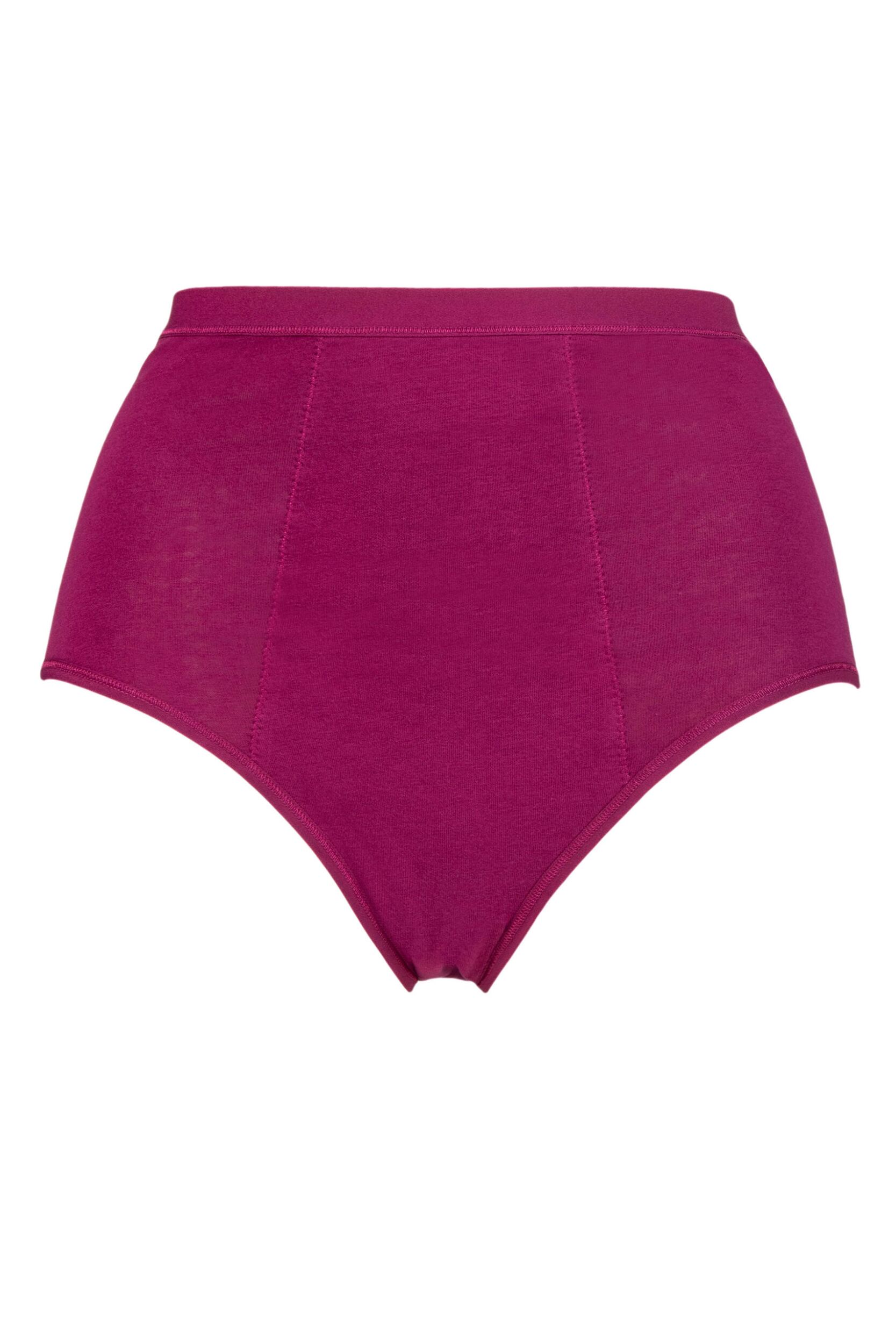 Women's 1 Pack Love Luna Period Full Briefs Plum 12-14 Ladies