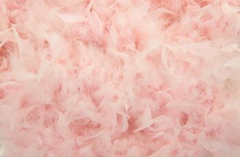 Feathers are in for spring – here’s how to wear them…