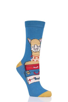Ladies SockShop 1 Pair Lazy Panda Bamboo Alpaca My Bags Gift Boxed Socks