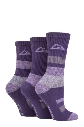 Ladies 3 Pair Storm Bloc Cotton Striped Boot Socks Charcoal / Purple 4-8 Ladies