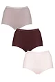 Women's 3 Pair Sloggi Basic Maxi Briefs - Multi
