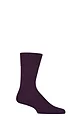 Mens 1 Pair Falke Tiago Classic Fil d'Ecosse Mercerised Cotton Socks - Wine Berry
