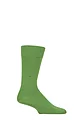 Mens 1 Pair Burlington Lord Plain Cotton Socks - Fairway