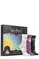 Women's 12 Pair SOCKSHOP Harry Potter 12 Days of Christmas Advent Calendar Socks - Multi