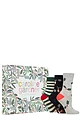 Women's 7 Pair Caroline Gardner 7 Day Christmas Foliage Gift Cotton Boxed Socks - Multi