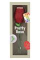 EAT MY SOCKS 1 Pair Pretty Rose Cotton Socks - Rose