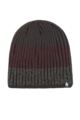 Mens 1 Pack SOCKSHOP Heat Holders Linden Stripe Hat - Charcoal