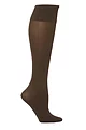 Women's 1 Pair Trasparenze Cinzia Microfibre Knee Highs - Dark Brown