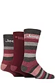 Mens 3 Pair Jeep Cotton Rich Cushioned Boot Socks - Berry / Charcoal