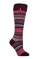 Women's 1 Pair SOCKSHOP Heat Holders Equestrian Collection 1.6 TOG Lite Thermal Wellington Boot Socks - Daphne Stripe Cabernet