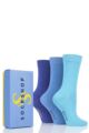 Ladies 3 Pair SOCKSHOP Bamboo Bright Gift Boxed Socks - Purple Haze