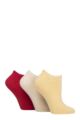 Women's 3 Pair SOCKSHOP Bamboo Trainer Socks with Smooth Toe Seams - Tuscan Tomato Plain