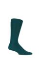 Mens 1 Pair SOCKSHOP Colour Burst Bamboo Socks with Smooth Toe Seams - Evergreen