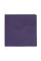 Mens 1 Pack SOCKSHOP Colour Burst Pocket Square - Aubergine