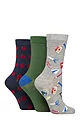 Women's 3 Pair SOCKSHOP Lazy Panda Novelty Bamboo Socks - School Zone