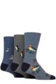 Men's 3 Pair Gentle Grip RHS Royal Horticultural Society Patterned Bamboo Socks - Birds