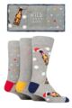 Mens 3 Pair SOCKSHOP Wildfeet Christmas Flat Gift Boxed Socks - Bottle