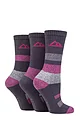 Women's 3 Pair Storm Bloc Cotton Striped Boot Socks - Charcoal / Cerise